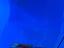 Immagine 8