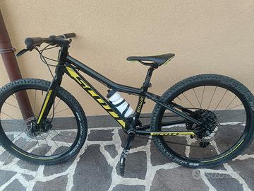 Scott scale 24