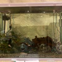 Acquario 120litri
