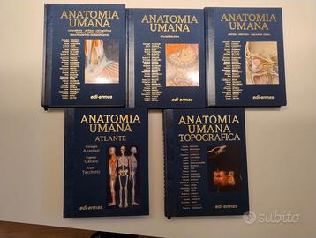 Set completo di anatomia Anastasy