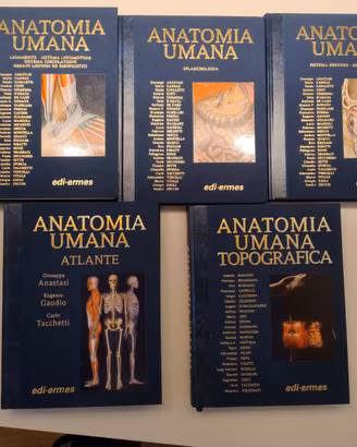 Set completo di anatomia Anastasy