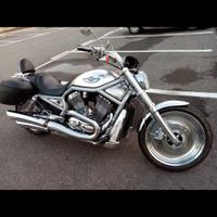 Harley davidson vrod centenario