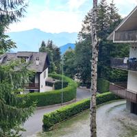 Bilocale immerso nella natura