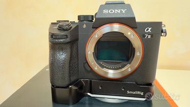 Sony A7 iii + Sony FE 90mm f/2.8 Macro G OSS