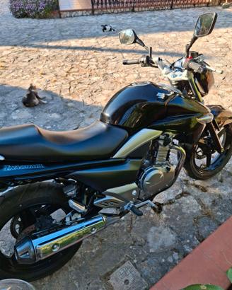 Suzuki Inazuma 250