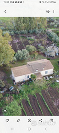 Ampio terreno agricolo