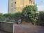 Immagine 29