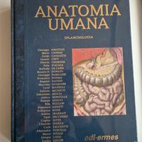 Anastasi anatomia volume 2