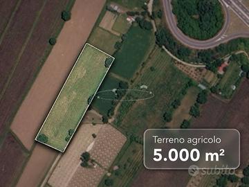 Terreno di 5500 m² a Sansepolcro