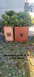 Apiscampo per arnie da 6 e 10