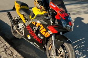 Cbr954rr