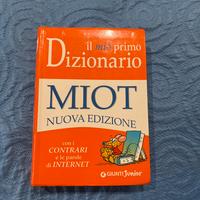 Dizionario