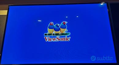 Monitor 43 e 48 pollici full Hd