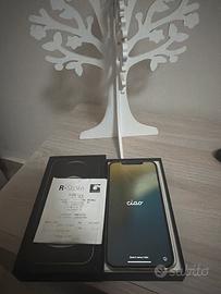 Iphone 12 pro max 256 gb