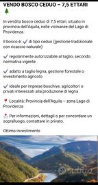 Bosco ceduo, Lago di Provvidenza, Campotosto(AQ)