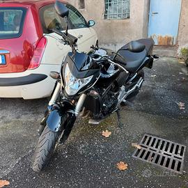 Honda Hornet CB 600 F