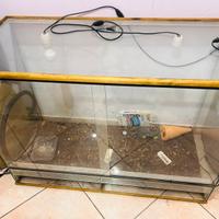 Teca per animali esotici