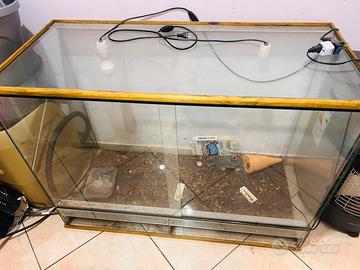 Teca per animali esotici