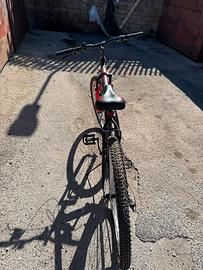 Bici hardtail twentynine