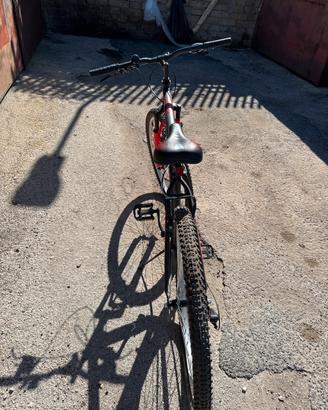 Bici hardtail twentynine