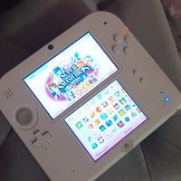 Nintendo 2Ds "Speciale"