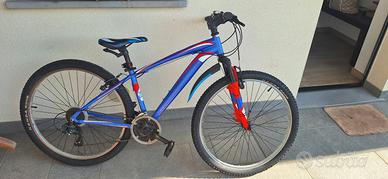 Biciclette ragazzo e ragazza