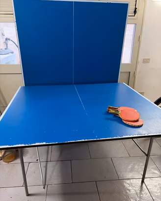 Tavolo ping pong