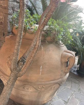 Coppia coppi di terracotta