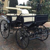 Carrozza per cavallo paithon esterasi blu notte