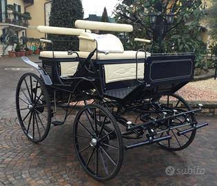 Carrozza per cavallo paithon esterasi blu notte
