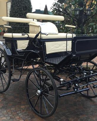 Carrozza per cavallo paithon esterasi blu notte