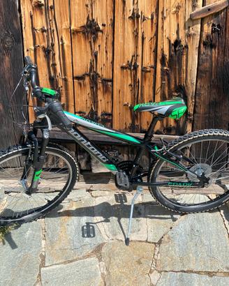 Bici mtb Montana Spark bambino