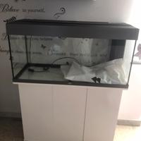 Acquario rio180 usato 5 mesi