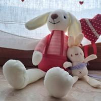 Coppia peluche coniglietti