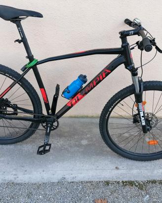 Olympia Drake 29″