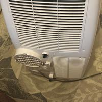 Condizionatore pinguino