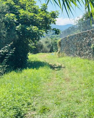 2400 MQ di TERRENO con CASETTA di Legno