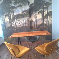 Desk/tavolo +poltrone velluto 