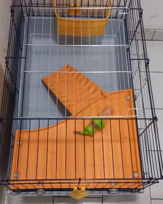 gabbia piccoli roditori