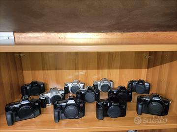 collezione canon