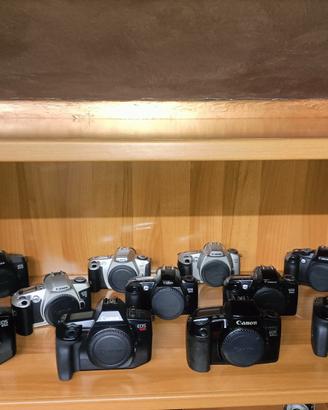 collezione canon
