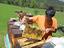 Immagine 5