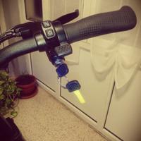 Monopattino elettrico 