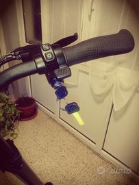 Monopattino elettrico 