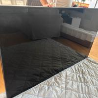 Televisore LG SmartTV da 79 pollici