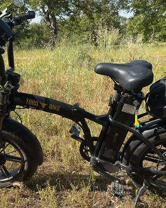 Bici elettrica - “Toro bike” 1000 watt