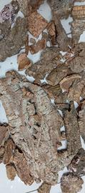 Corteccia di sughero 2,5 kg per presepe e bricolag