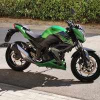 Kawasaki Z300 ABS 2015