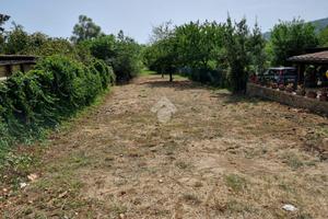 TER. AGRICOLO A TREVIGNANO ROMANO