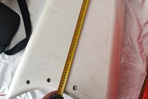 delfiniera Quick silver